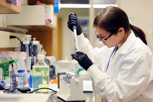 scientist doing lab experiment