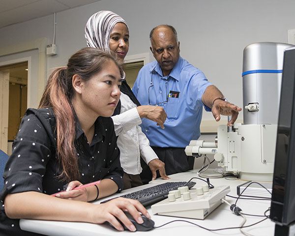 A male and female faculty giving instruction to a female student using a computer.