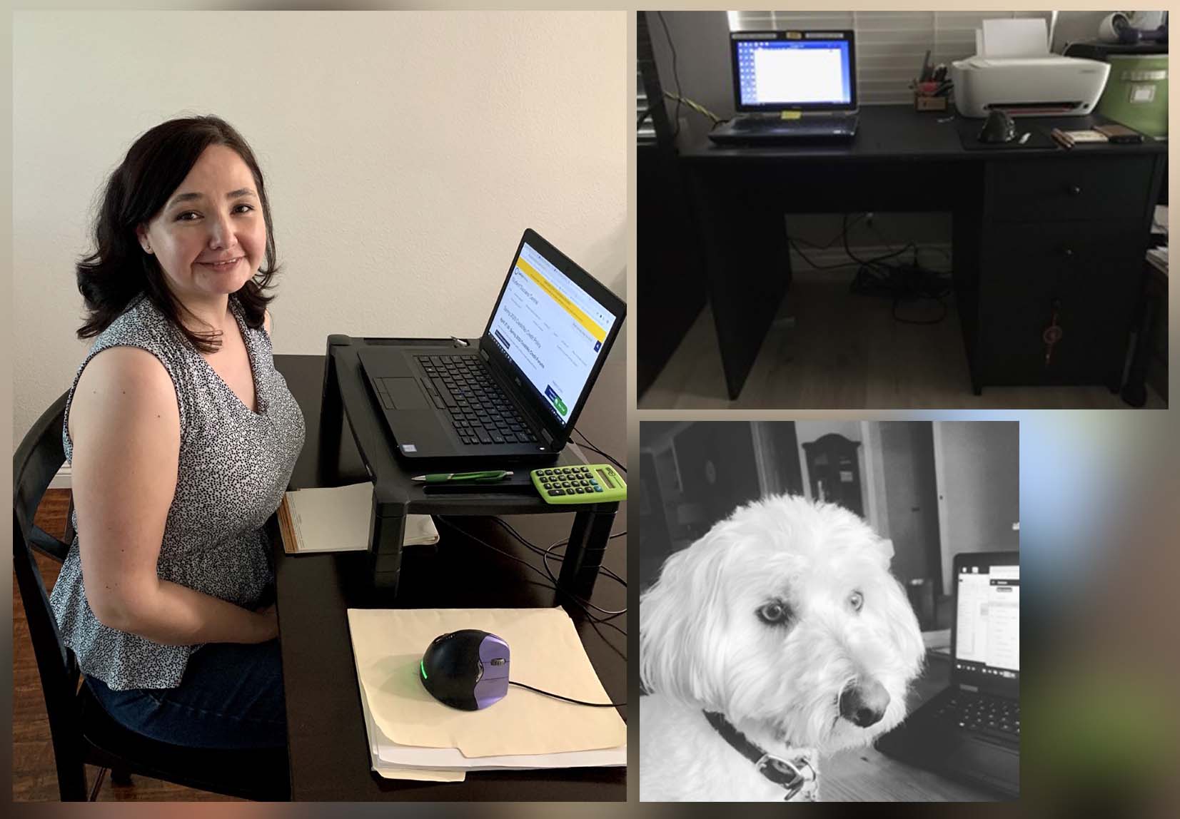 Left to right, clockwise: Laura Facio, engineering advisor; Lita Patel's setup; Monica Kay's dog, Hopps, invading her workspace.