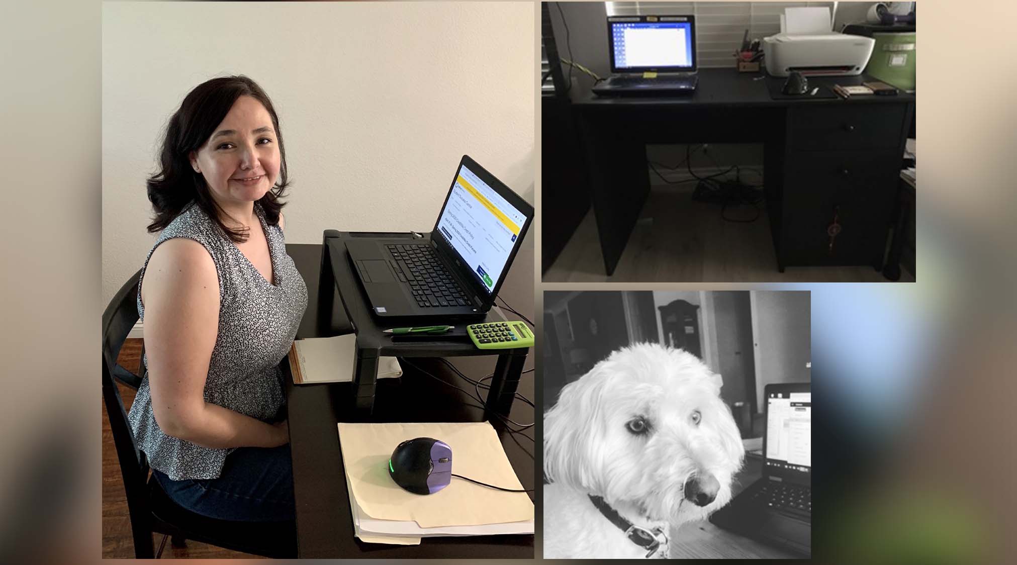 A collage of three photos: a staff person with her laptop; a staff person's workstation; a staff person's dog