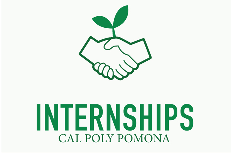 internships-cpp.jpg