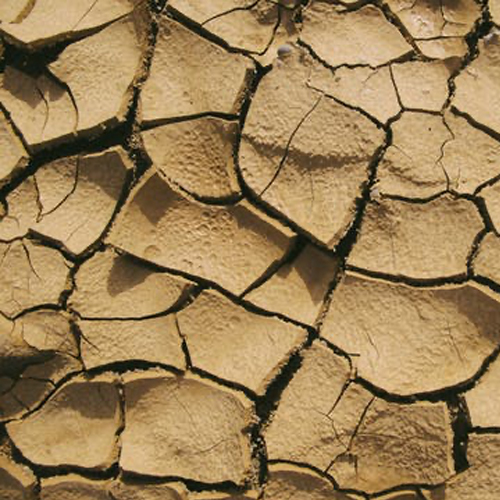 image of cracked soil parched earth