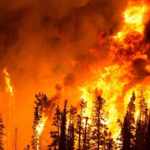 Getty Images wildfire photo