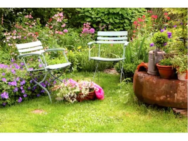 A small backyeard garden with wildflowers (Shutterstock)
