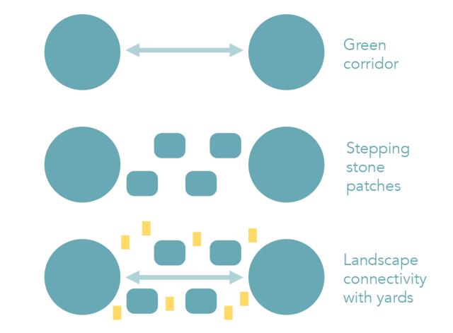 lana jeries connectivity stepping stones diagram