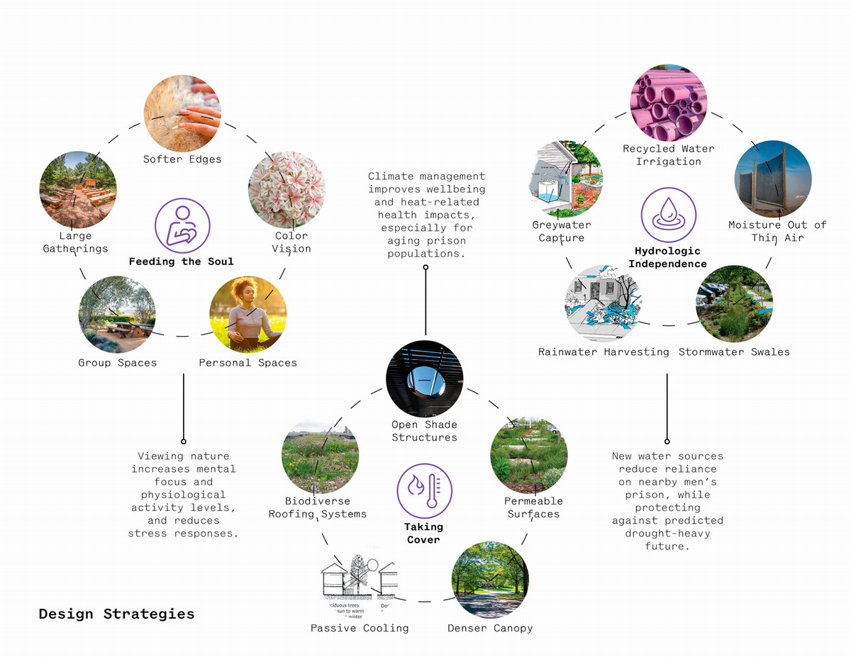 Design strategies support mental health, physical health, and water independence