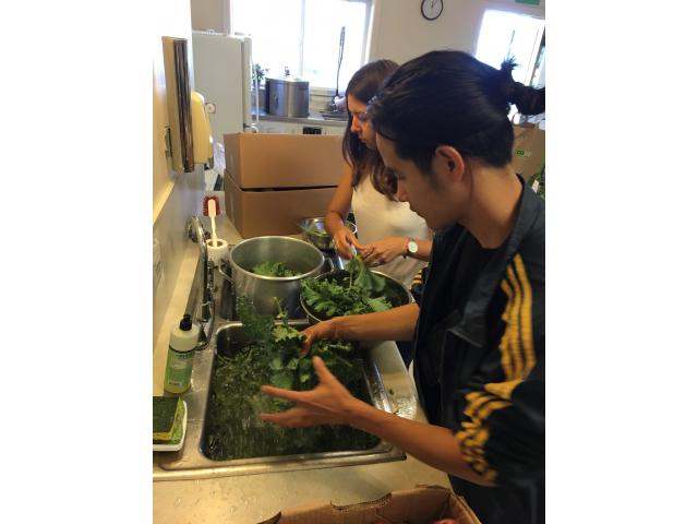 Described under the heading slide2 text