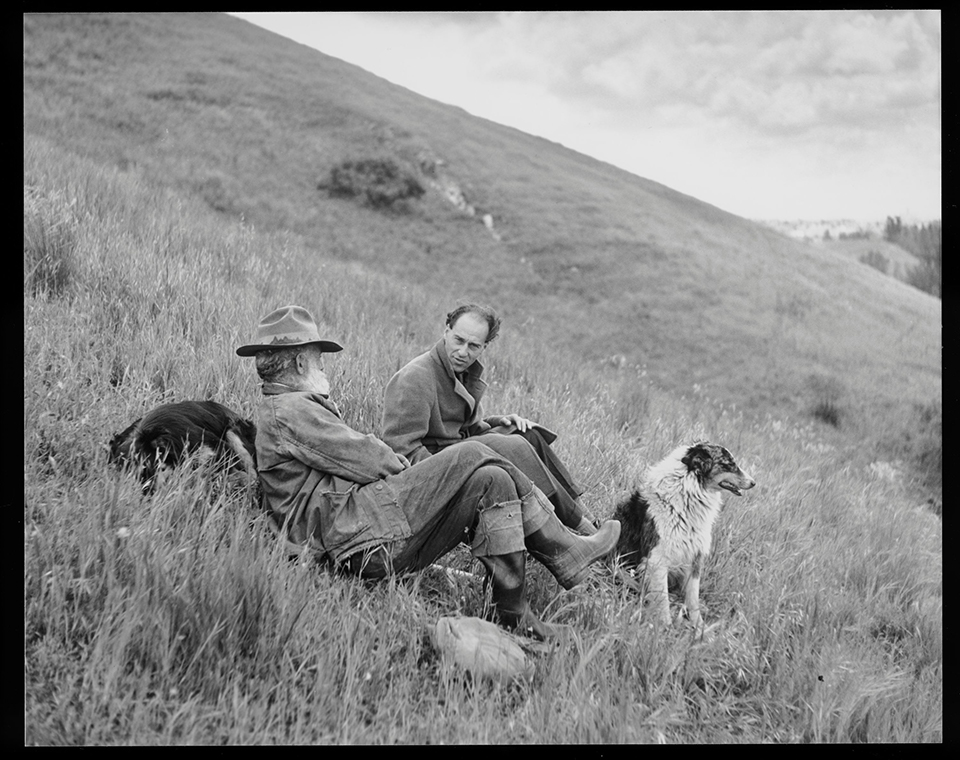 rs-and-basque-shepherd-horiz.-gri_2004_r_10_b0144_f009_ss_02.jpg