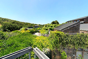 Lyle Center rooftop panorama