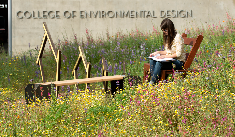 A student draws outside of ENV college building