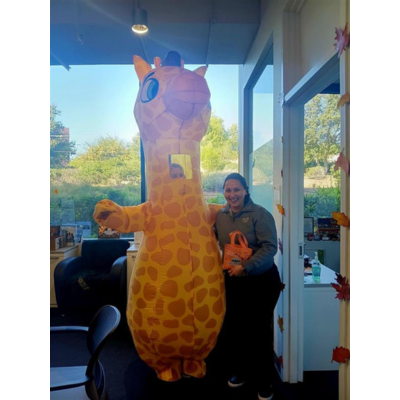 Giraffe by the Window