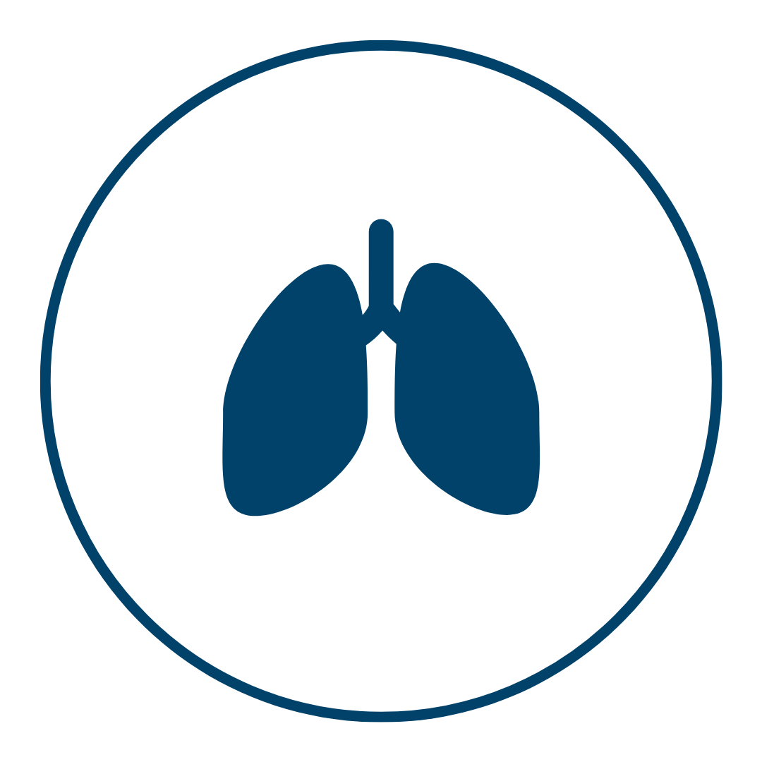 lungs icon