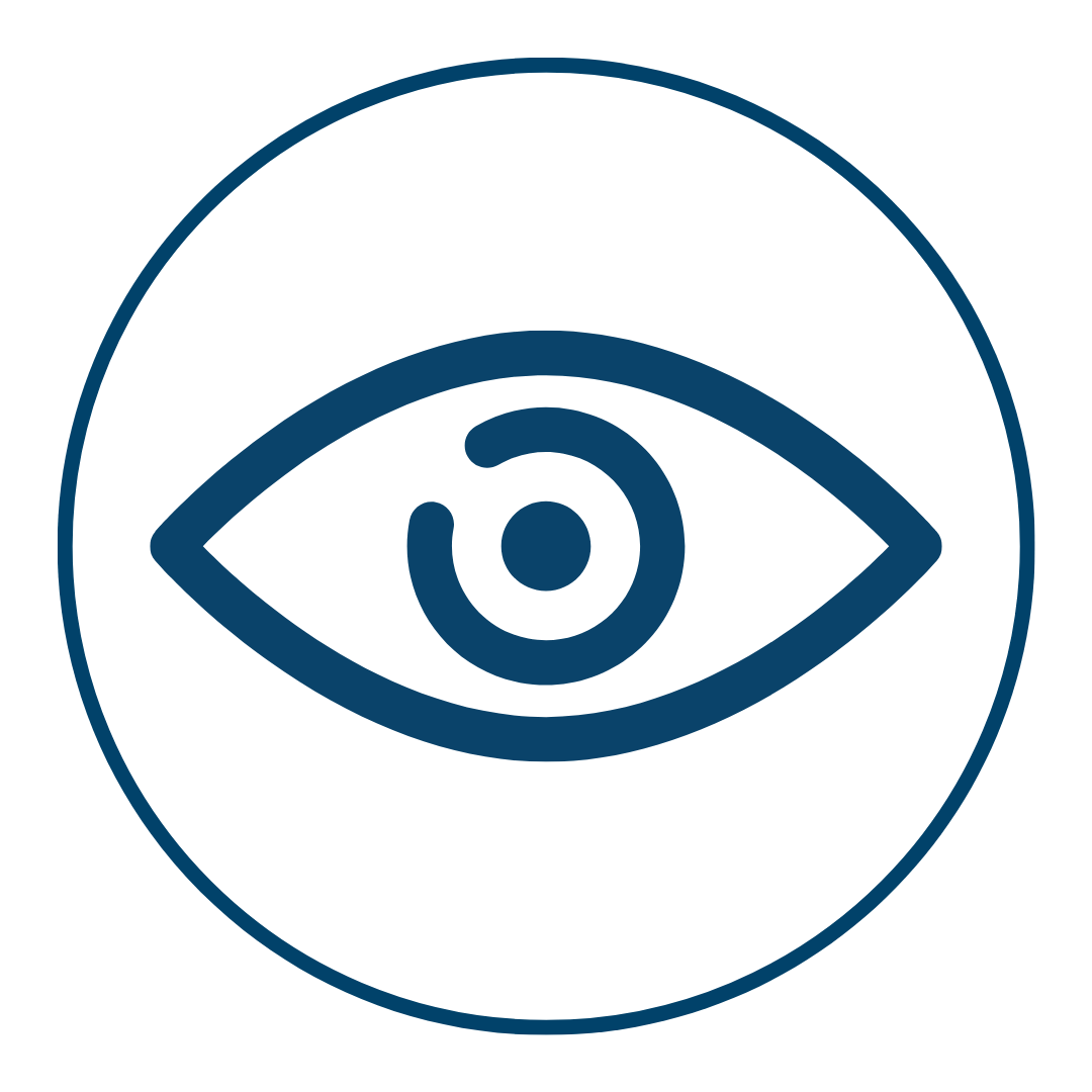 Vision Icon