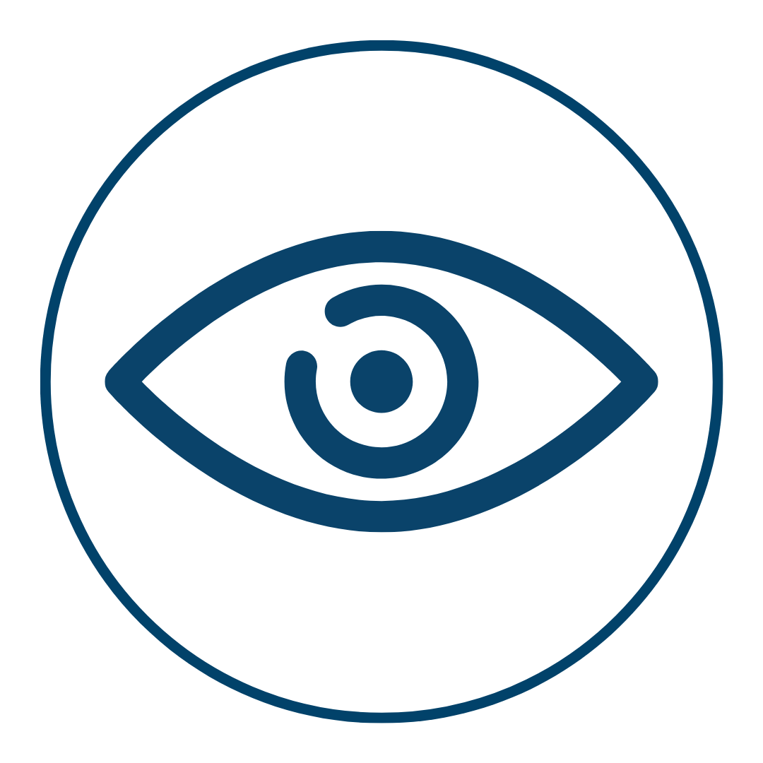 Vision icon