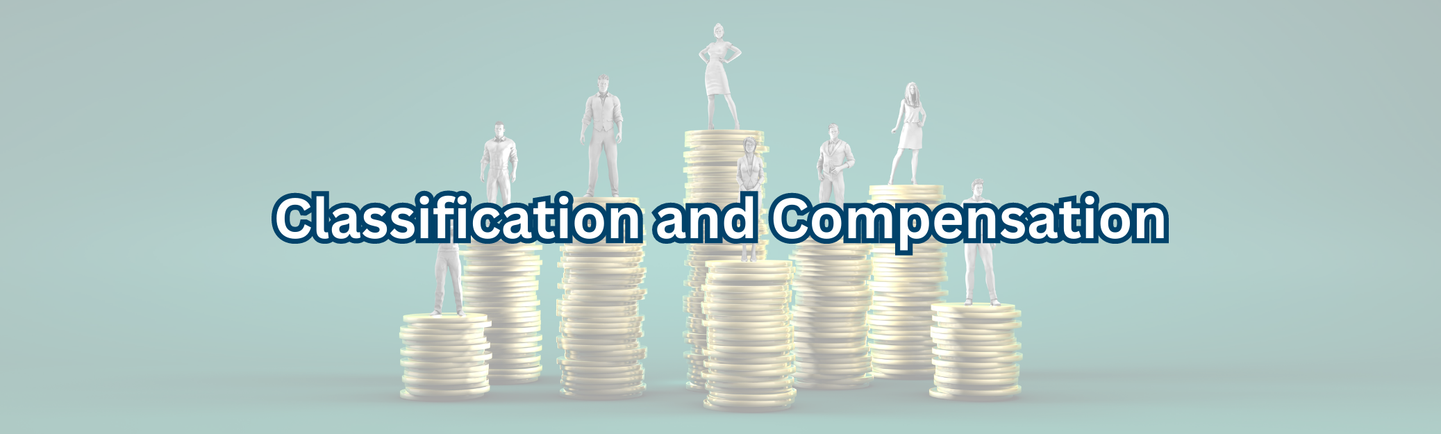 classification and compensation banner