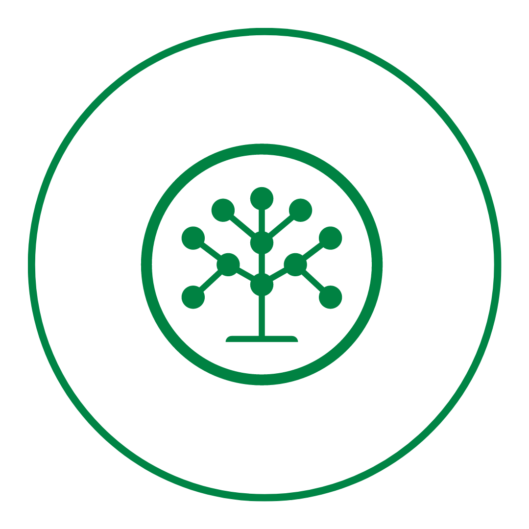 Classification tree icon
