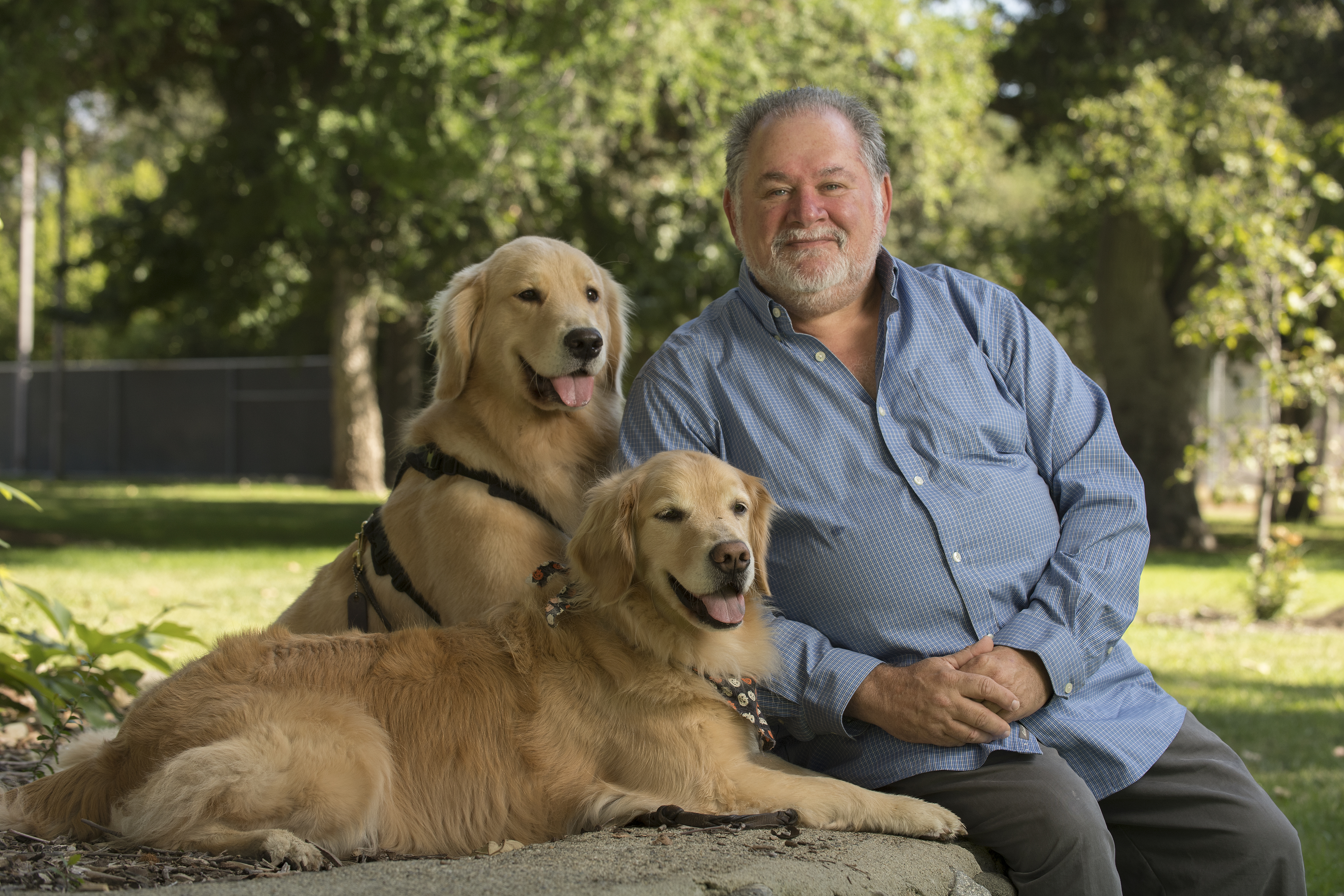 Dr. Fine with therapy dogs