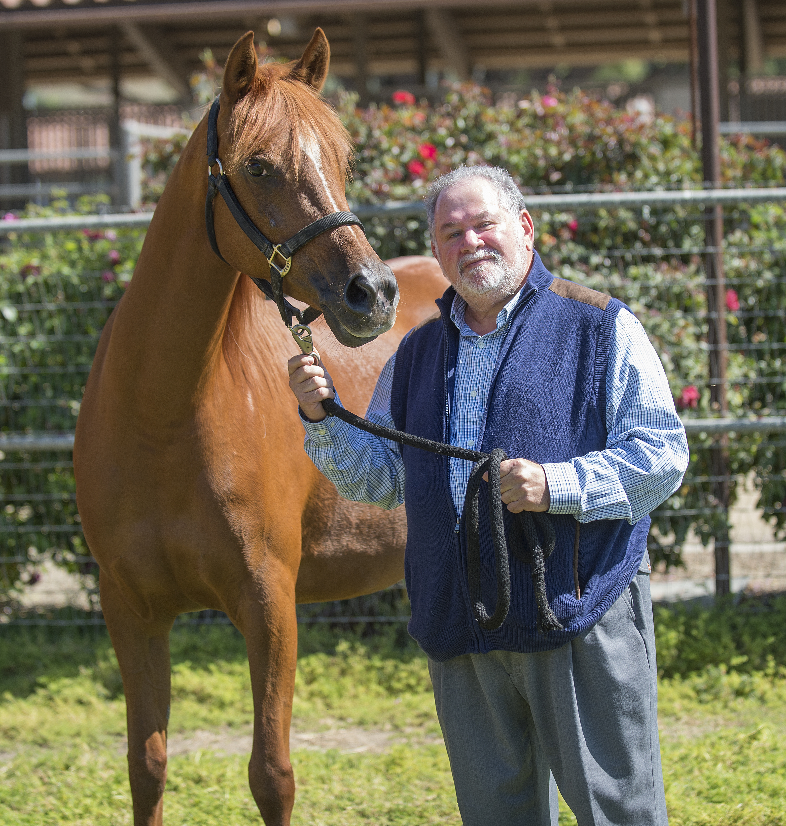 Dr. Fine with CPP Arabian horse, Amber.