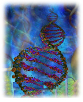 DNA