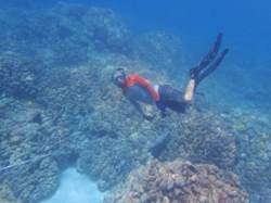 Smith Snorkeling