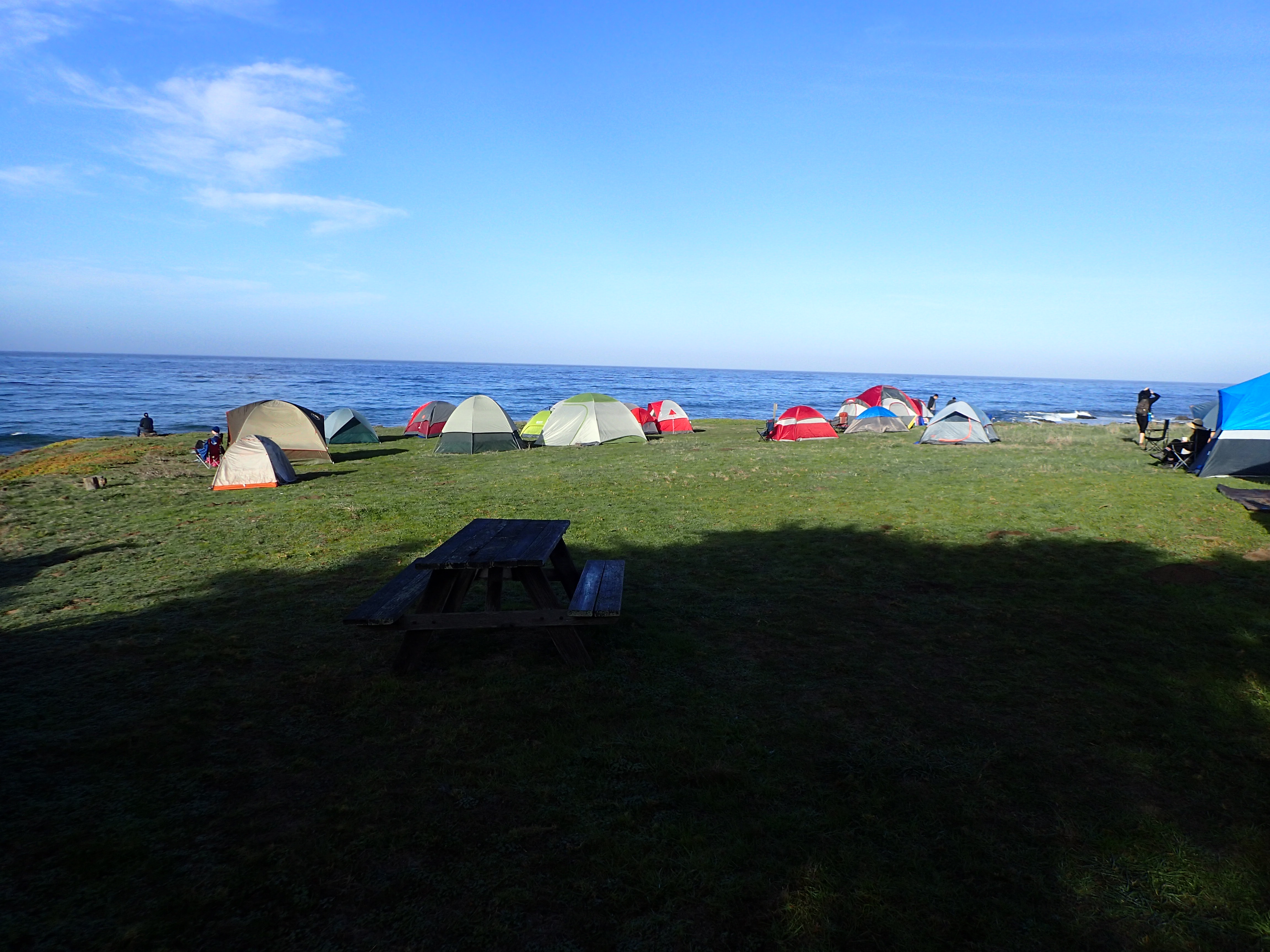 Marine Botany Class Camping