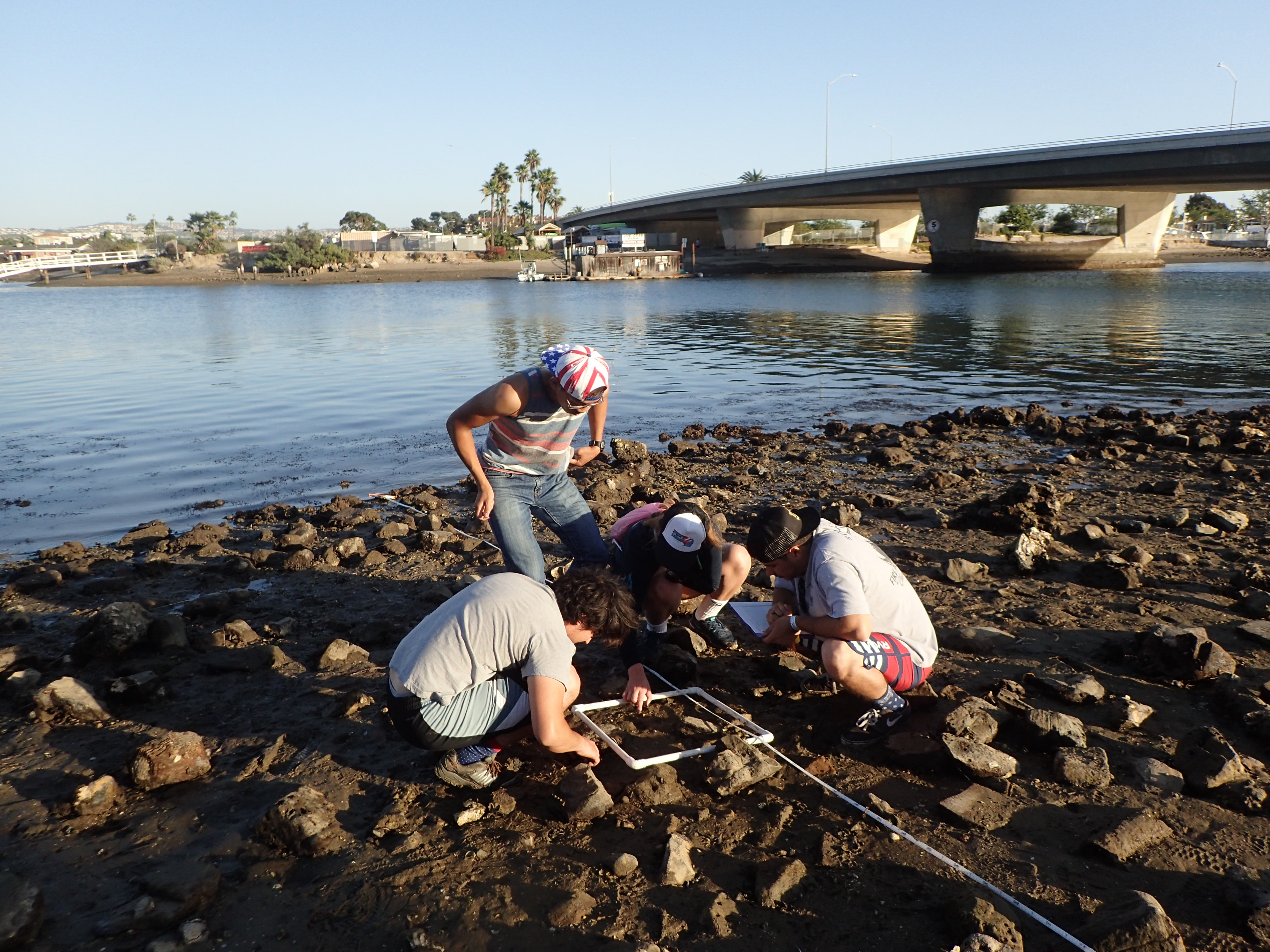 Marine Ecology Class in Newport Backbay