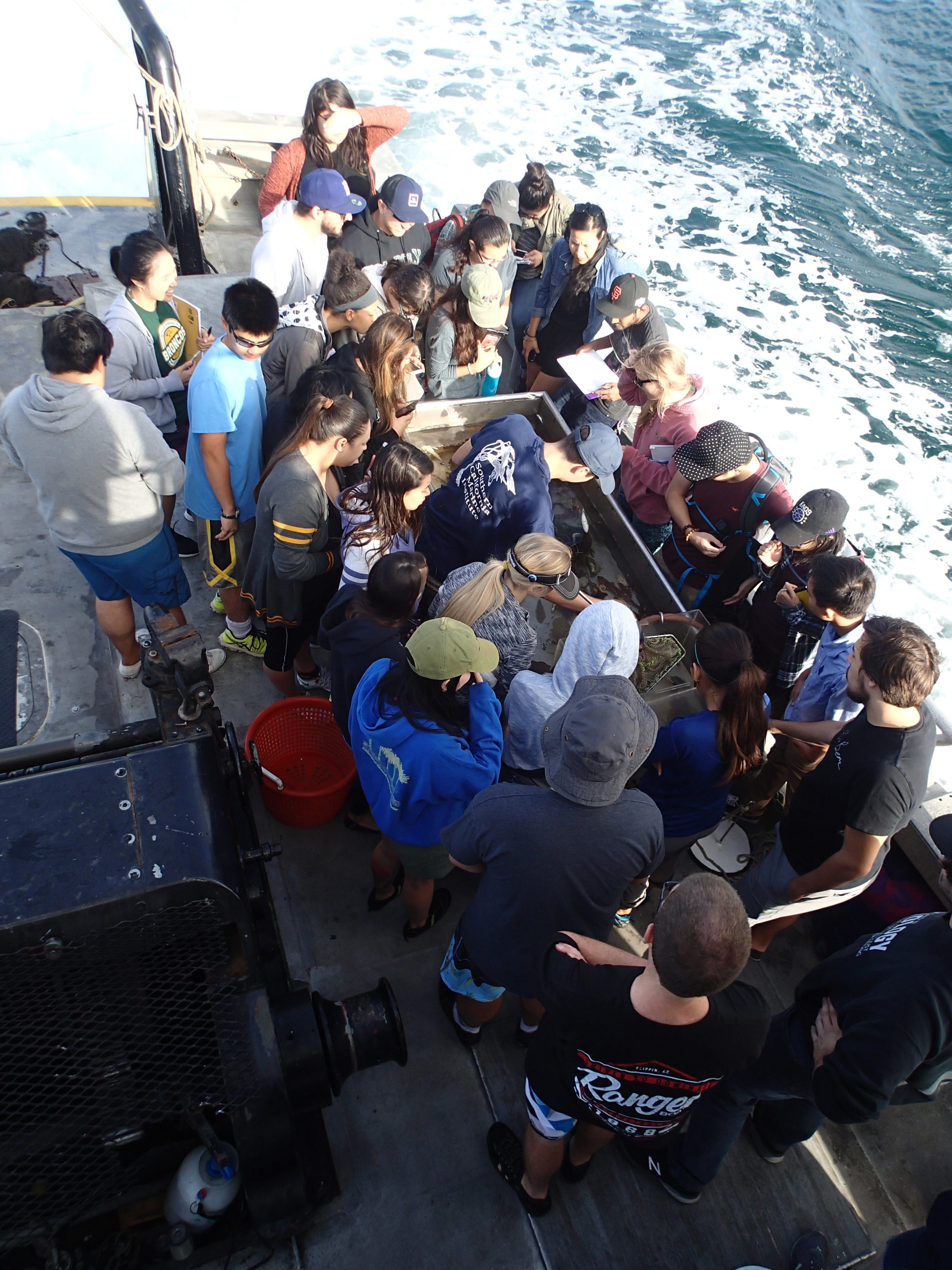 Marine Ecology Boat Trip