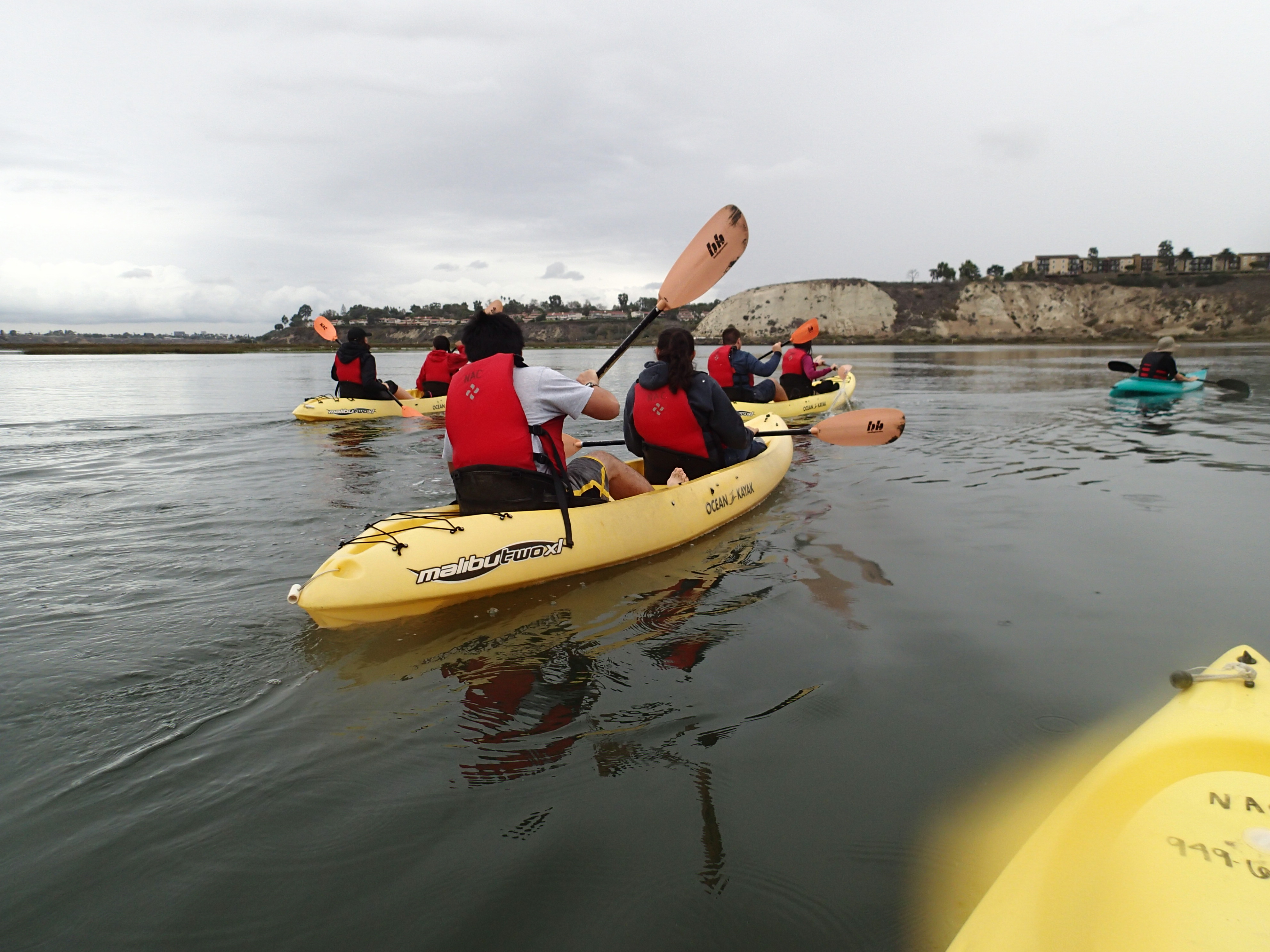 Marine Ecology Kayaking