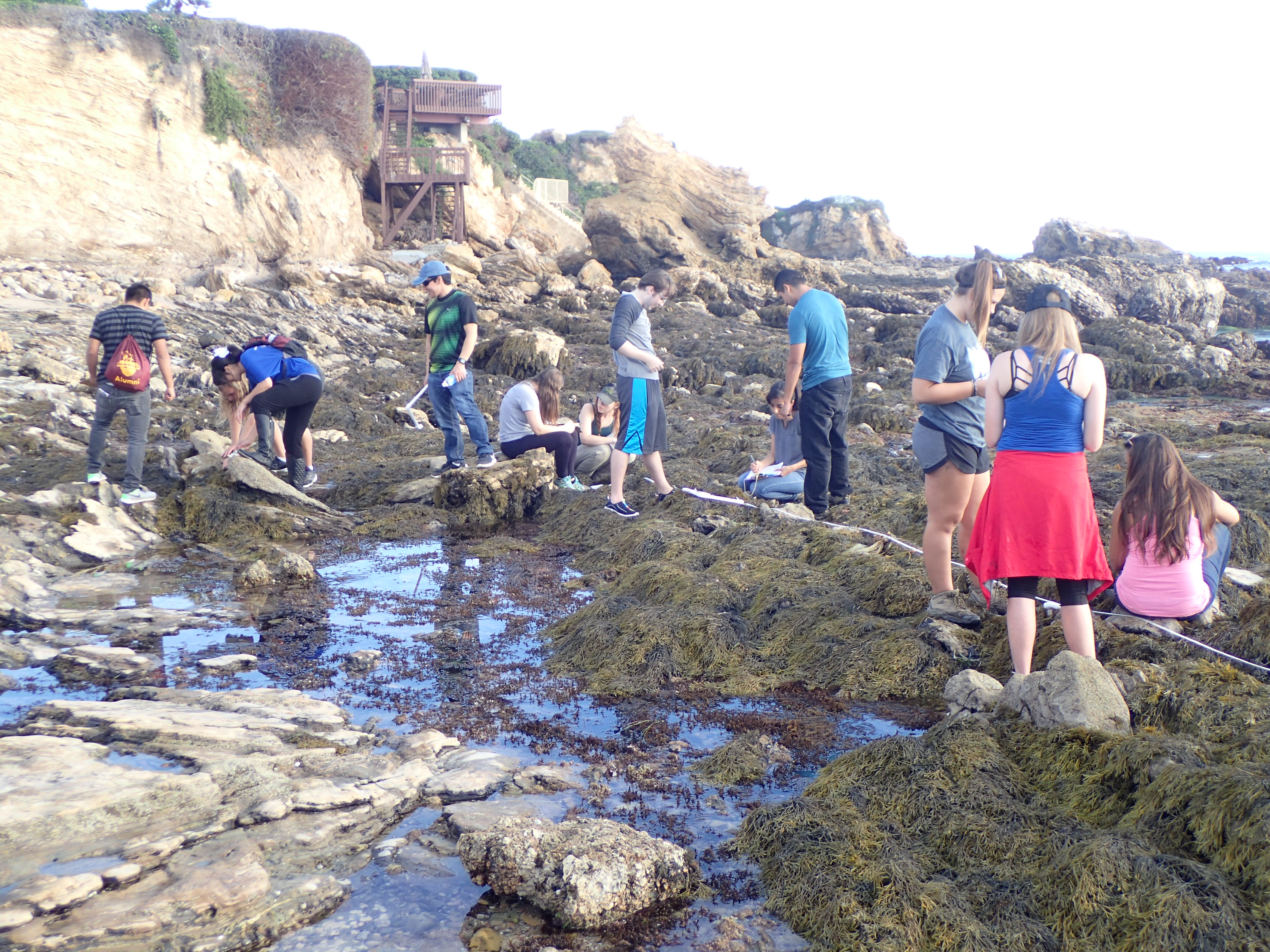 Marine Ecology Class in Tidepools