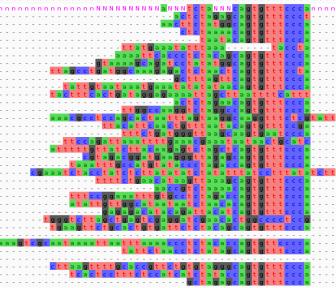 Transposable Element in a genome