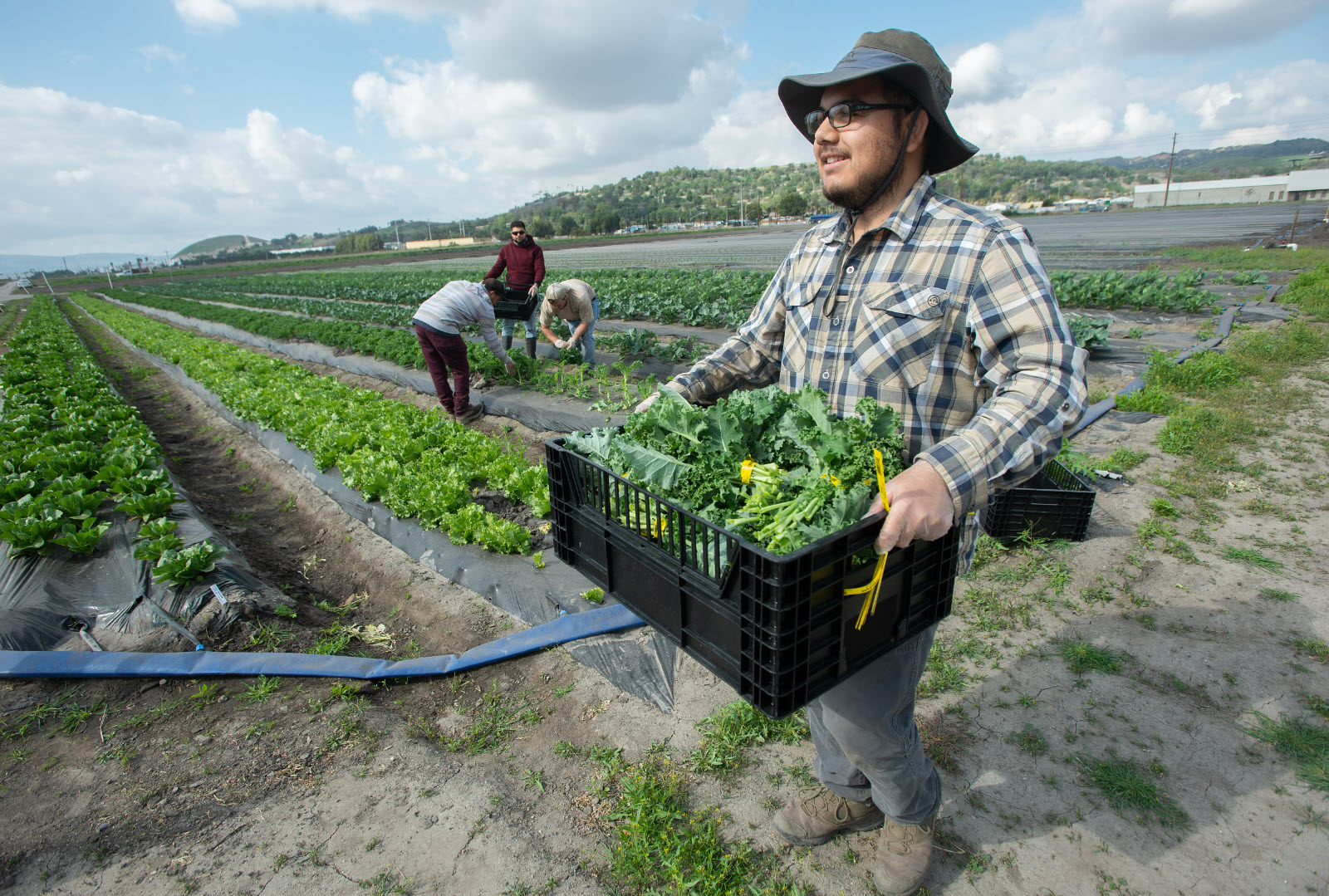 farmer carrying produce