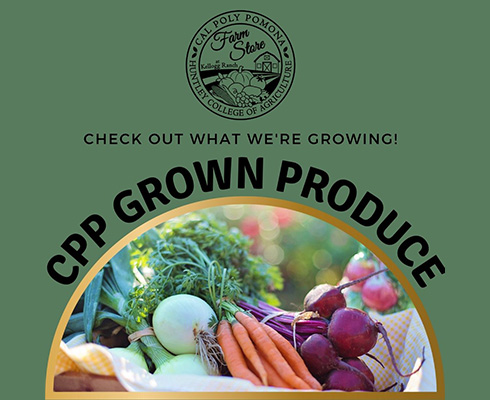 checkout what we're growing.  CPP Grown Produce