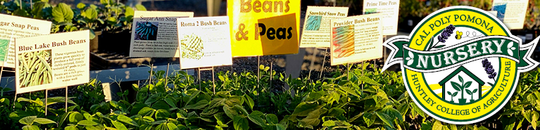Farm store nursery