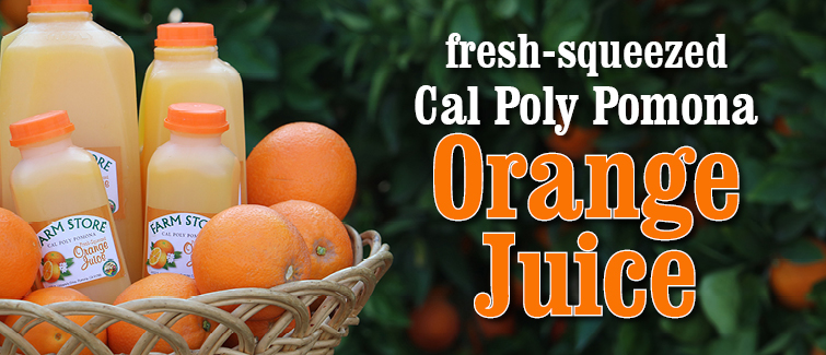 fresh-squeeze Cal Poly Pomona Orange Juice