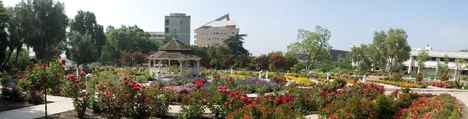campus panorama with the CLA in the middle
