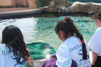 Students at the aquarium 