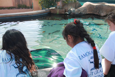 Students at the aquarium