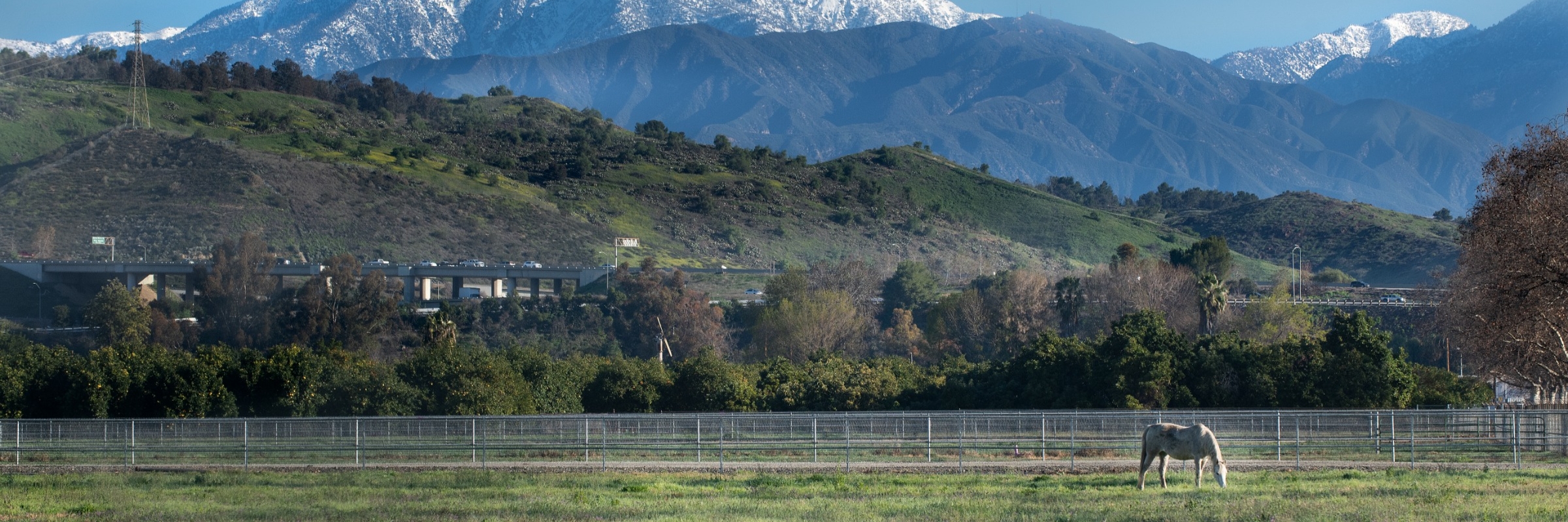 Photo of campus from the horse grazing area.