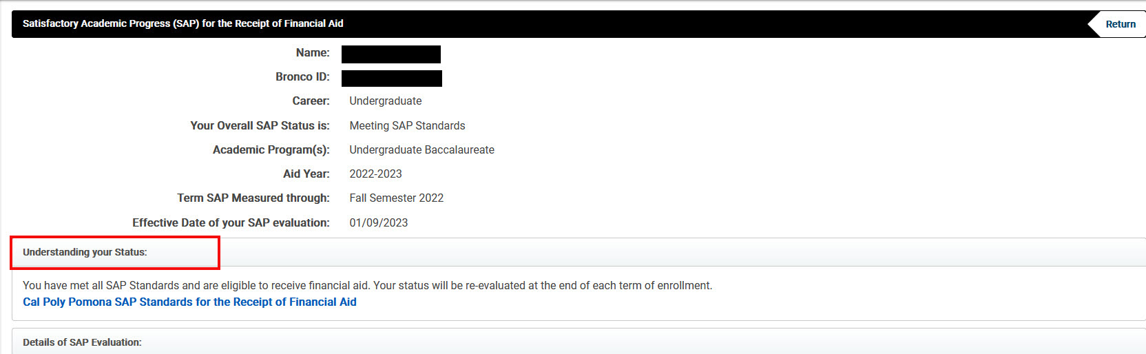 image of Understanding your Status section of the SAP Status Screen