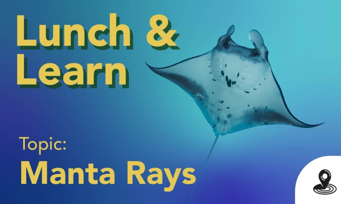 Scuba Lunch and Learn