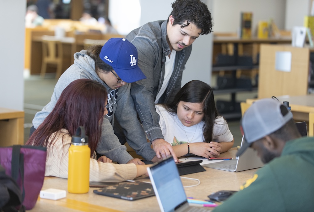 Students study at the library on their laptops