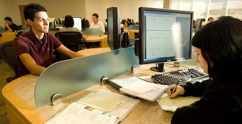 students on computers in the University LIbrary