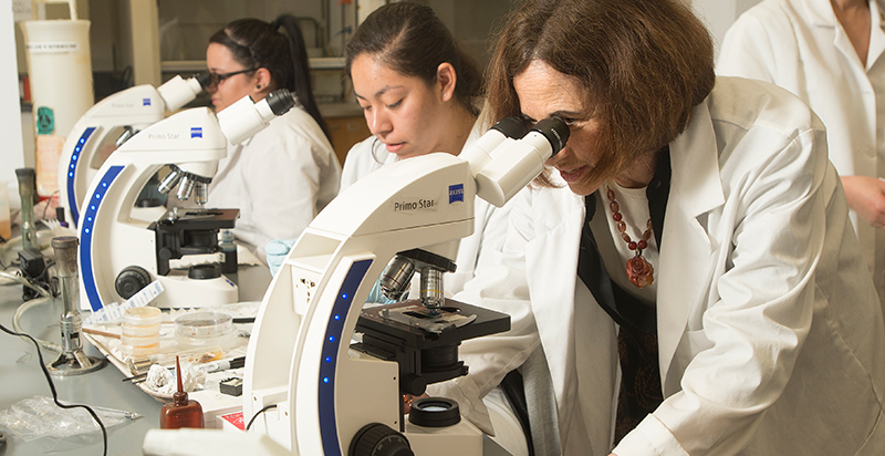 professor and students looking into microscopes