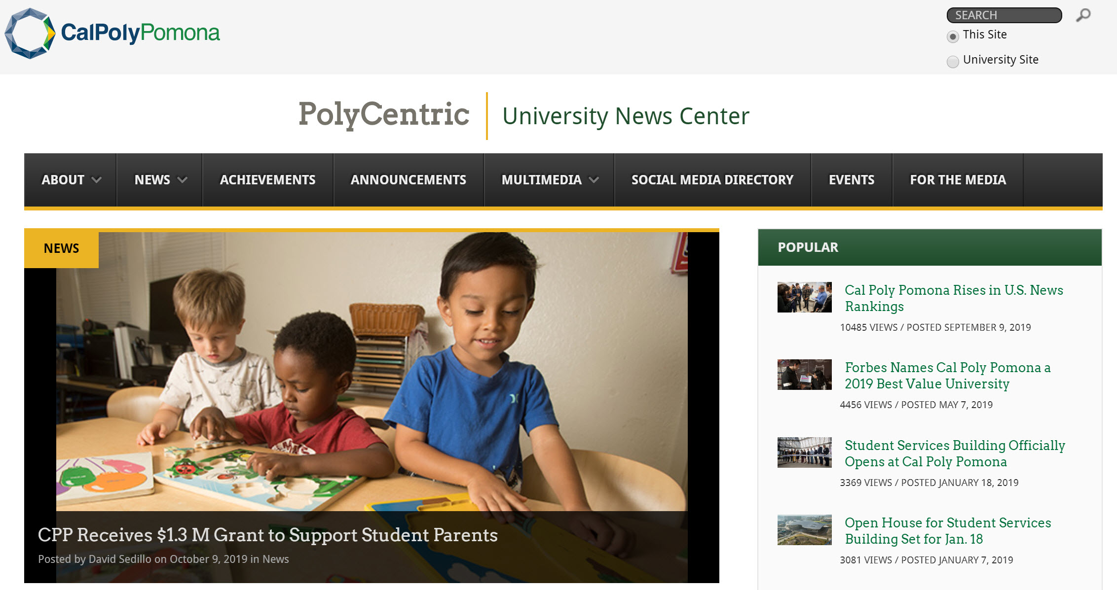 PolyCentric homepage