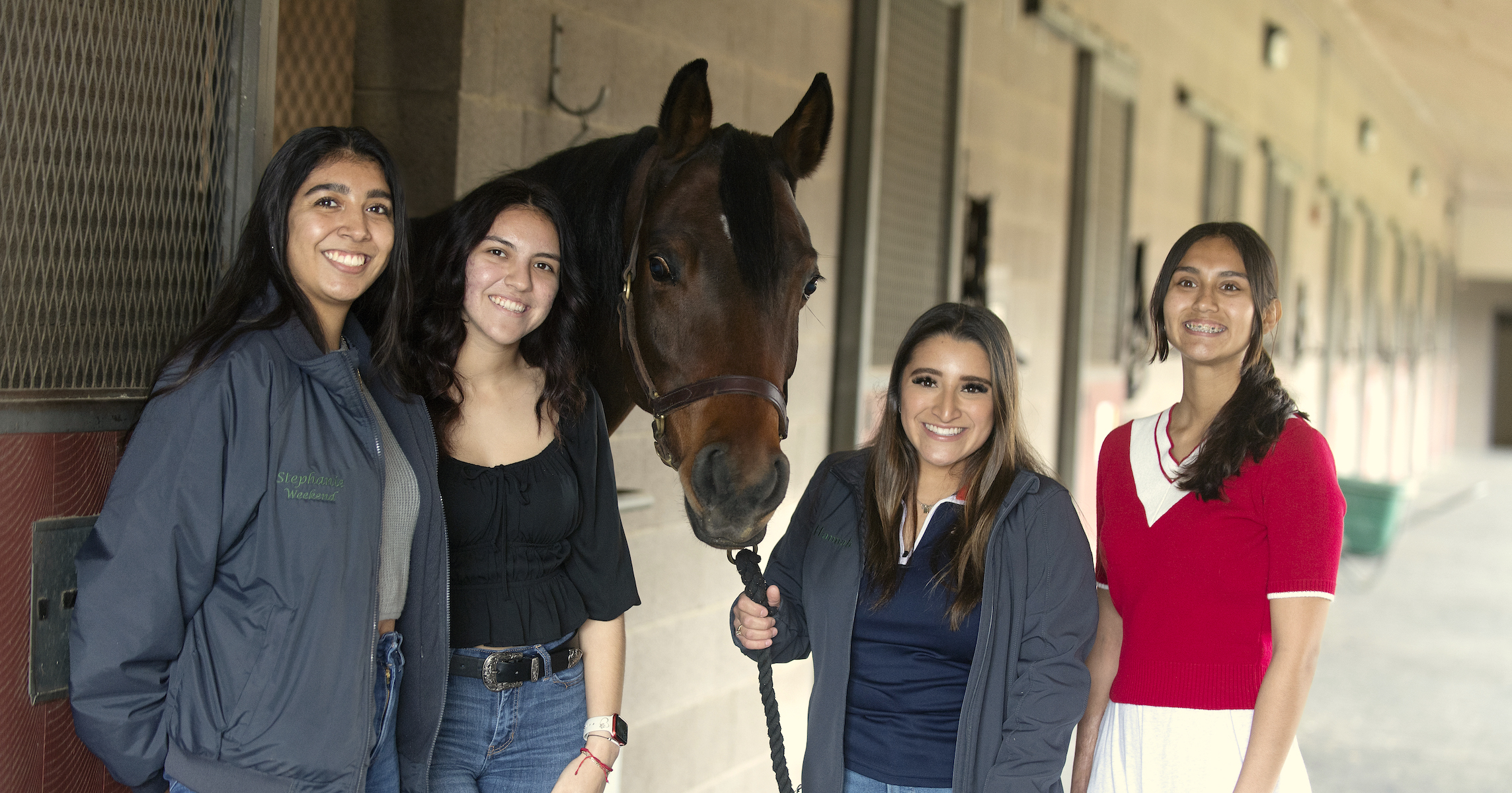 Members of horse wellness team next to a horse 