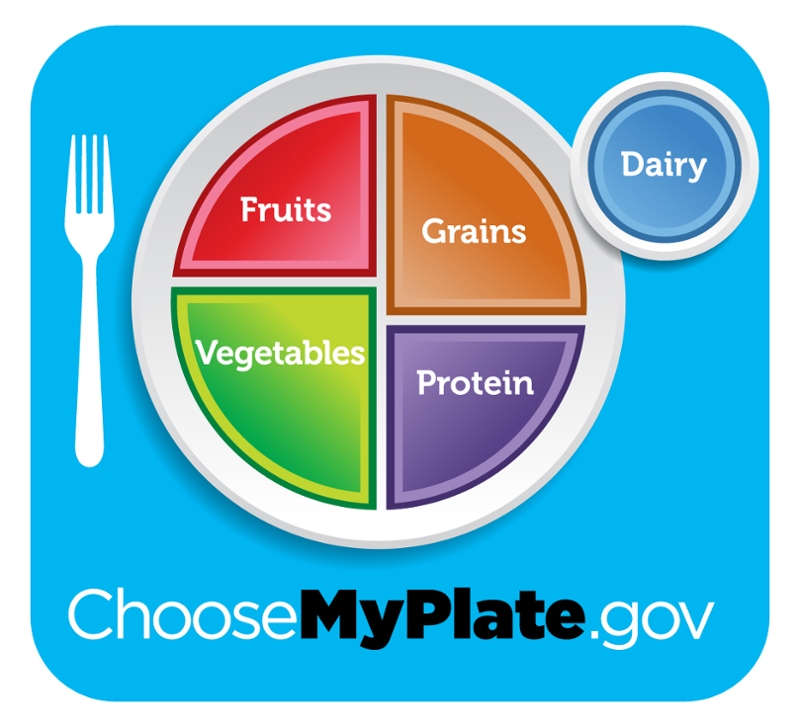 plate divided into sections for different types of foods