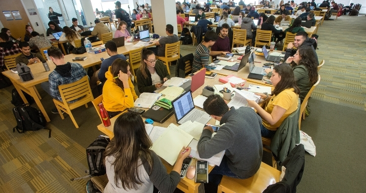Students studying in the University library