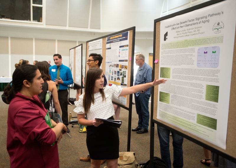 a presenter pointing to their poster presentation during a research conference