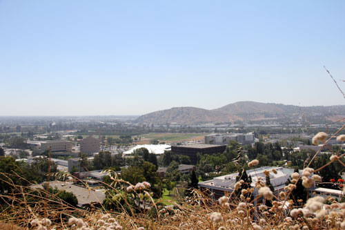 View of CPP