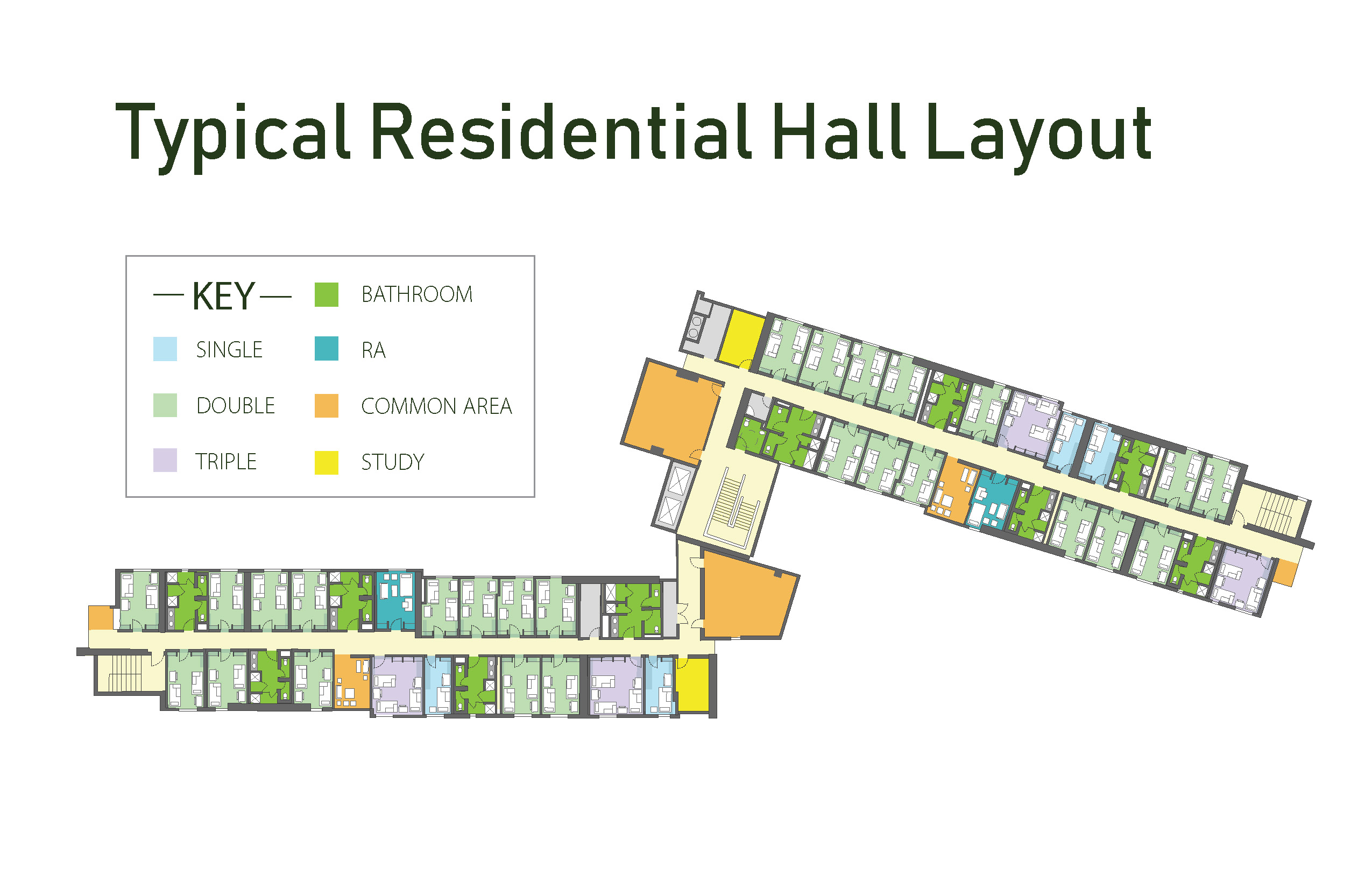 typical layout of a residence hall